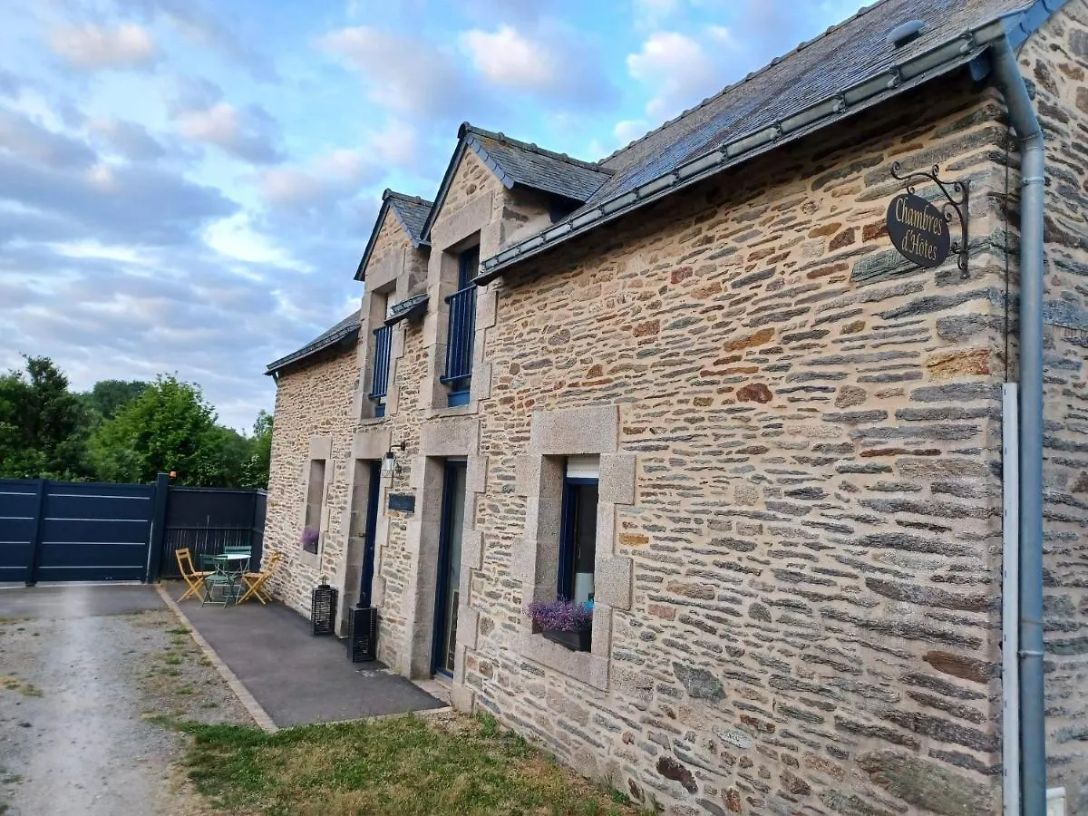 Au Petit Bonheur De Claire Et Jo Bed & Breakfast La Chapelle-Caro France