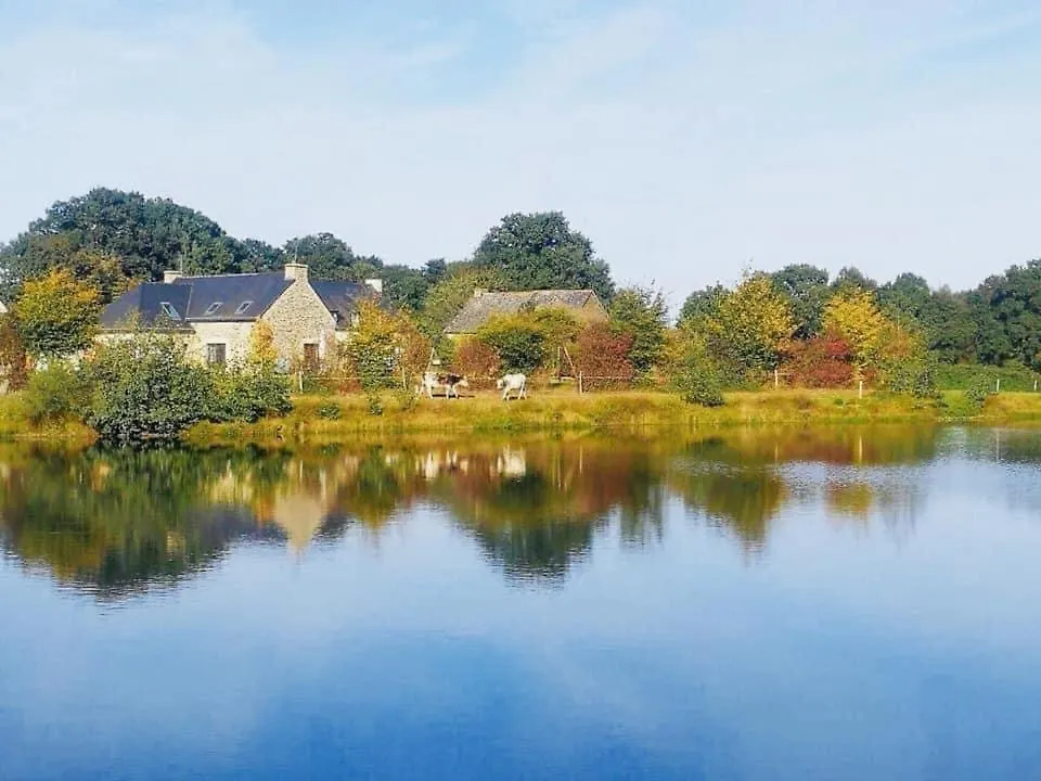 Au Petit Bonheur De Claire Et Jo Bed & Breakfast La Chapelle-Caro